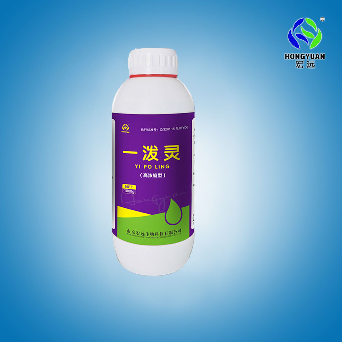 一潑靈 一潑靈